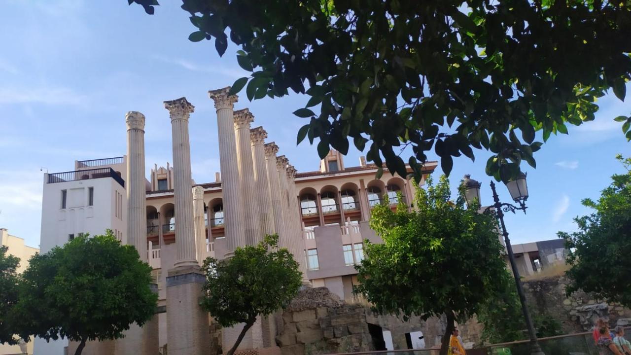 Ziba Only Families Apartamento *